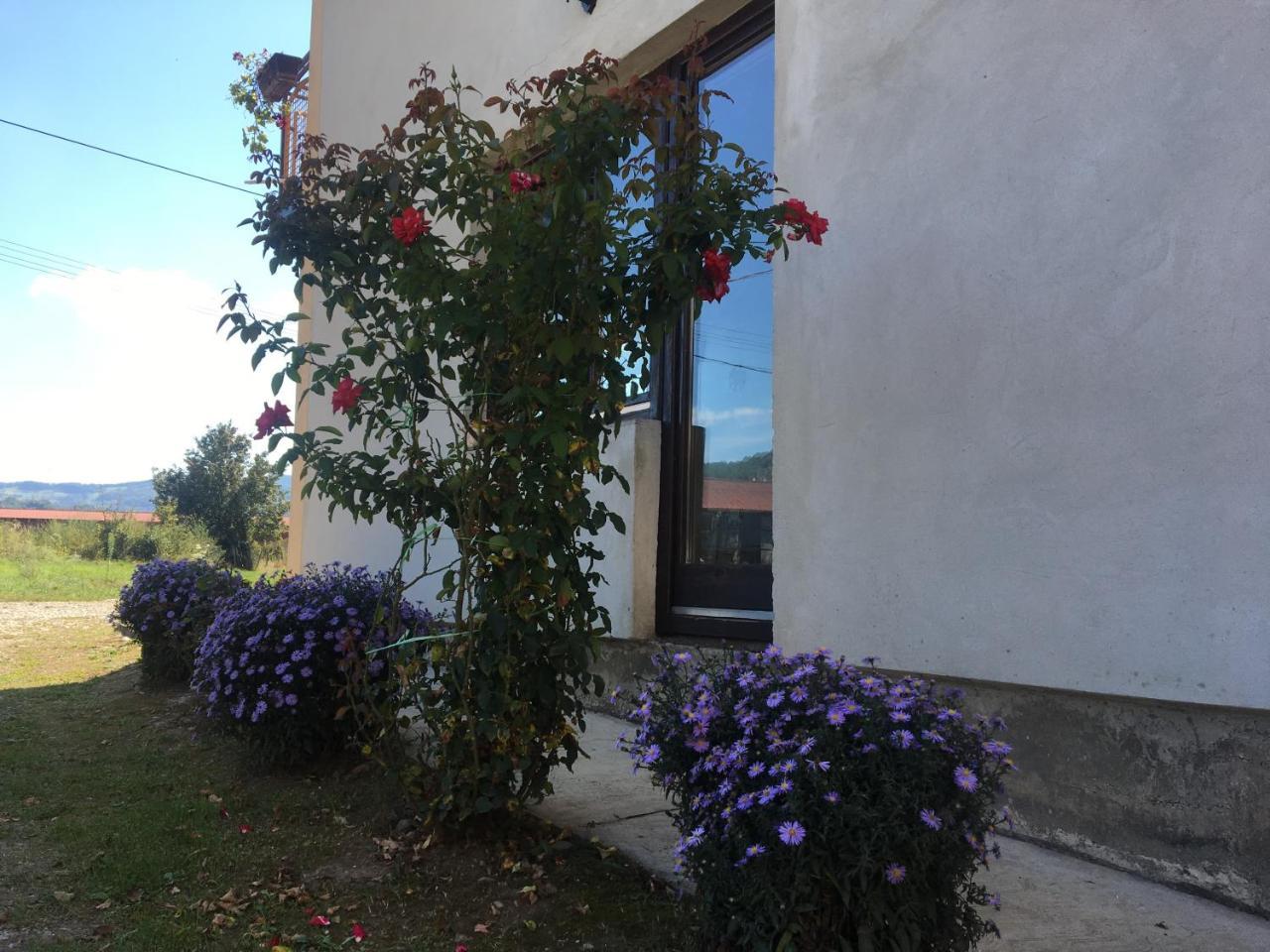 Zvezdica Apartamento Bajina Basta Exterior foto