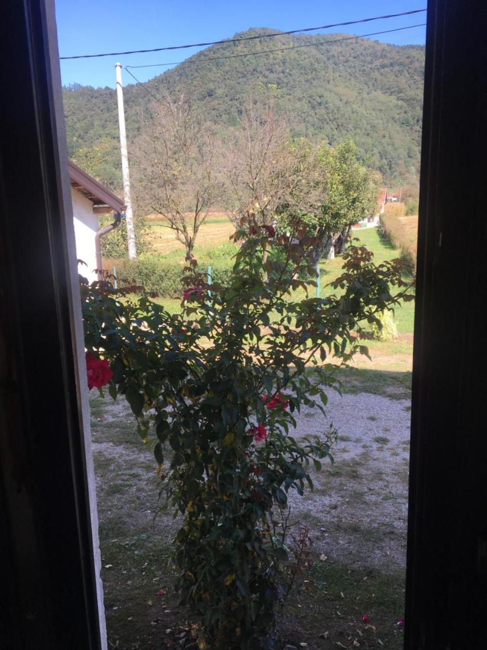 Zvezdica Apartamento Bajina Basta Exterior foto